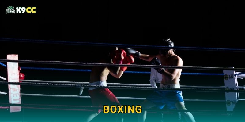 Boxing tốc độ cao – Kịch tính từng giây tại K9cc 1 Boxing tốc độ cao – Kịch tính từng giây tại K9cc