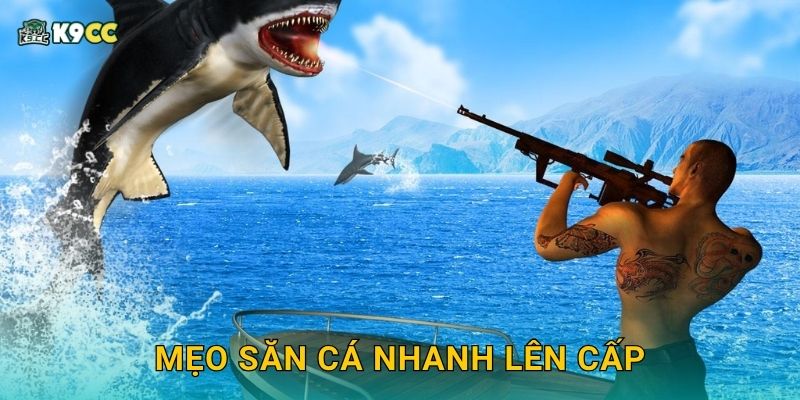 Mẹo săn cá nhanh lên cấp