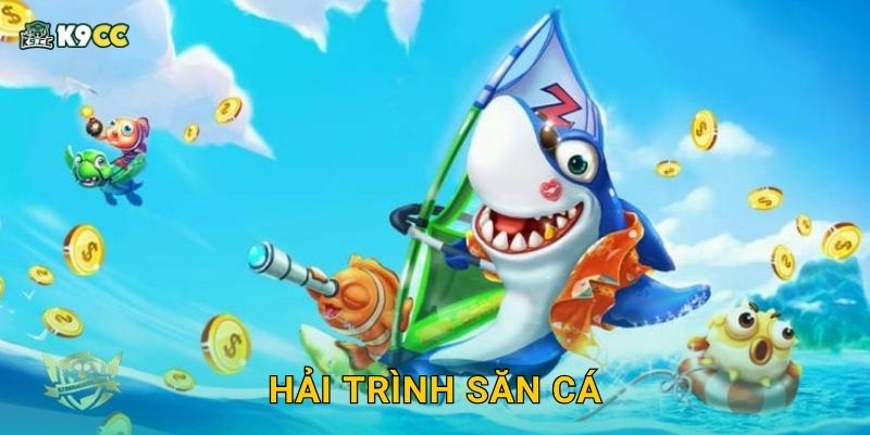 Hải Trình Săn Cá rực rỡ – Hành trình chinh phục đại dương K9cc