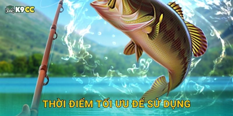 Thời điểm tối ưu để sử dụng