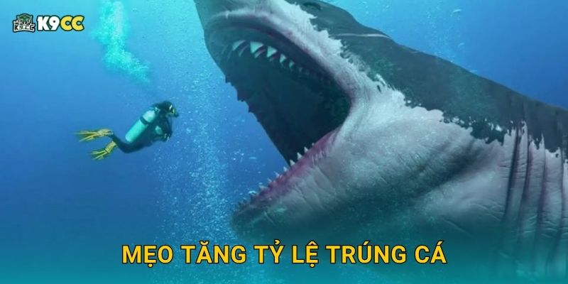 Mẹo tăng tỷ lệ trúng cá